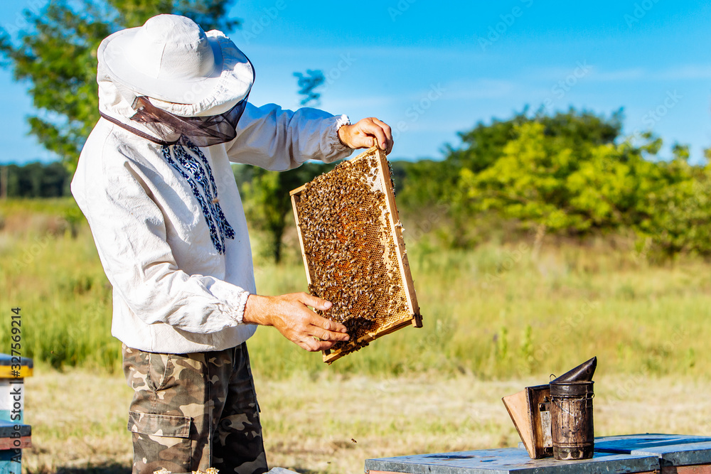 Beekeeper is working with bees and beehives on the apiary. Frames of a bee hive. Apiary concept