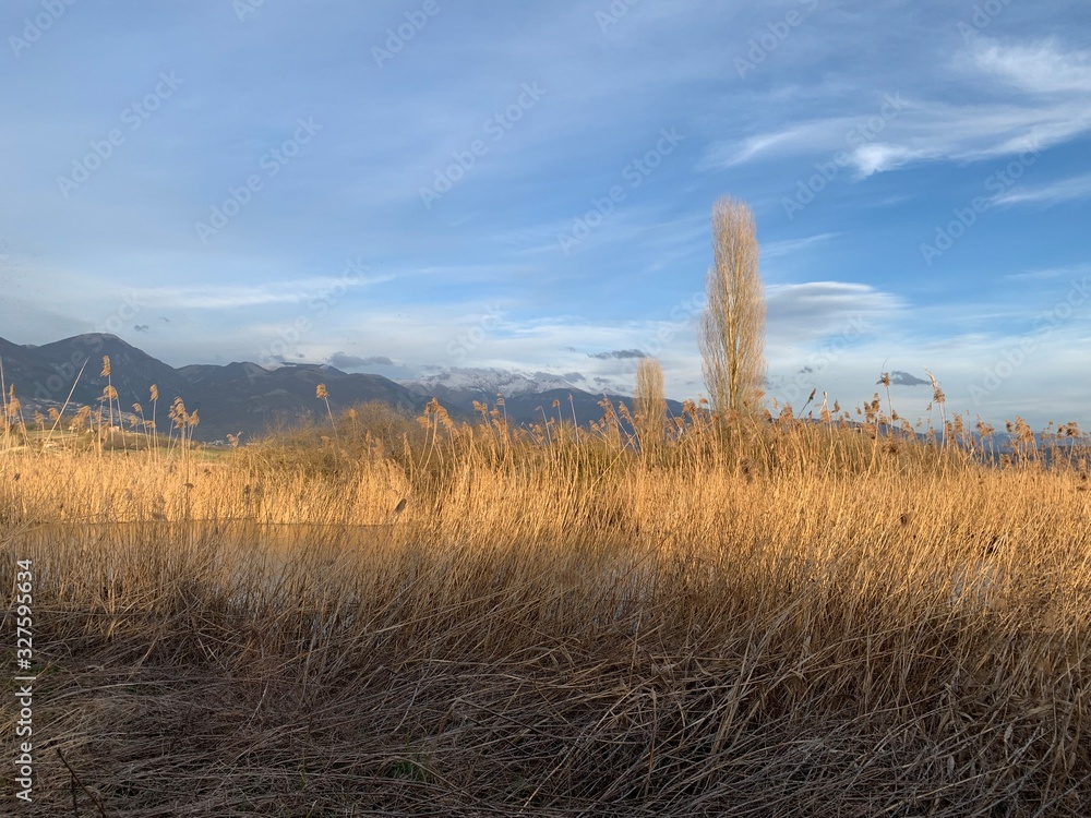 morning in the mountains