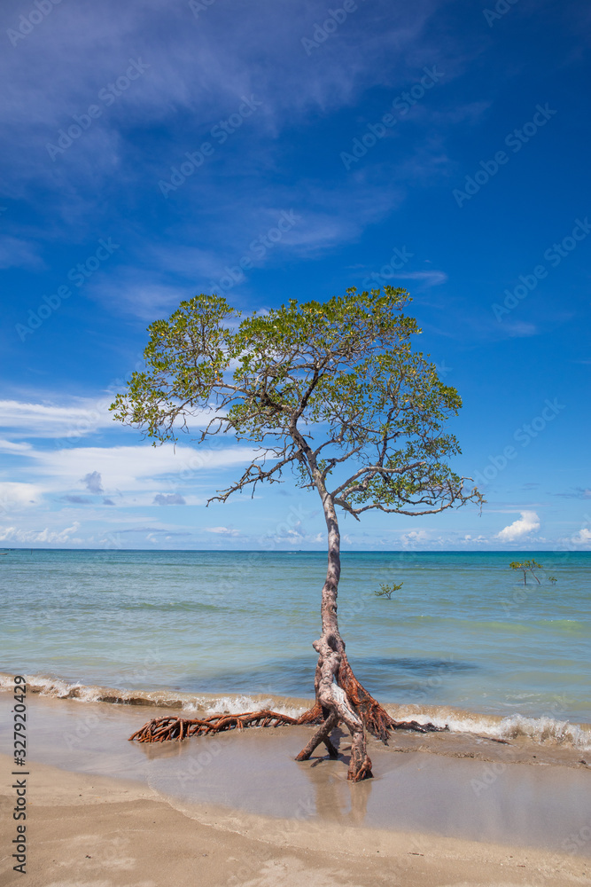 Encanto beach in Morro de São Paulo