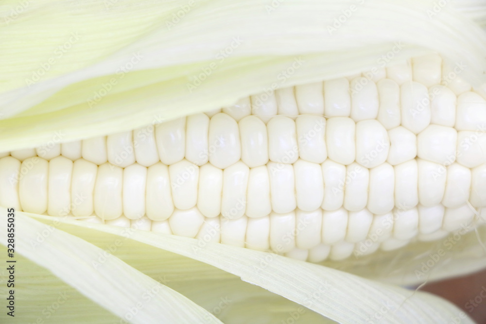 Close up isolated raw fresh white corn (peeled can see grain inside)