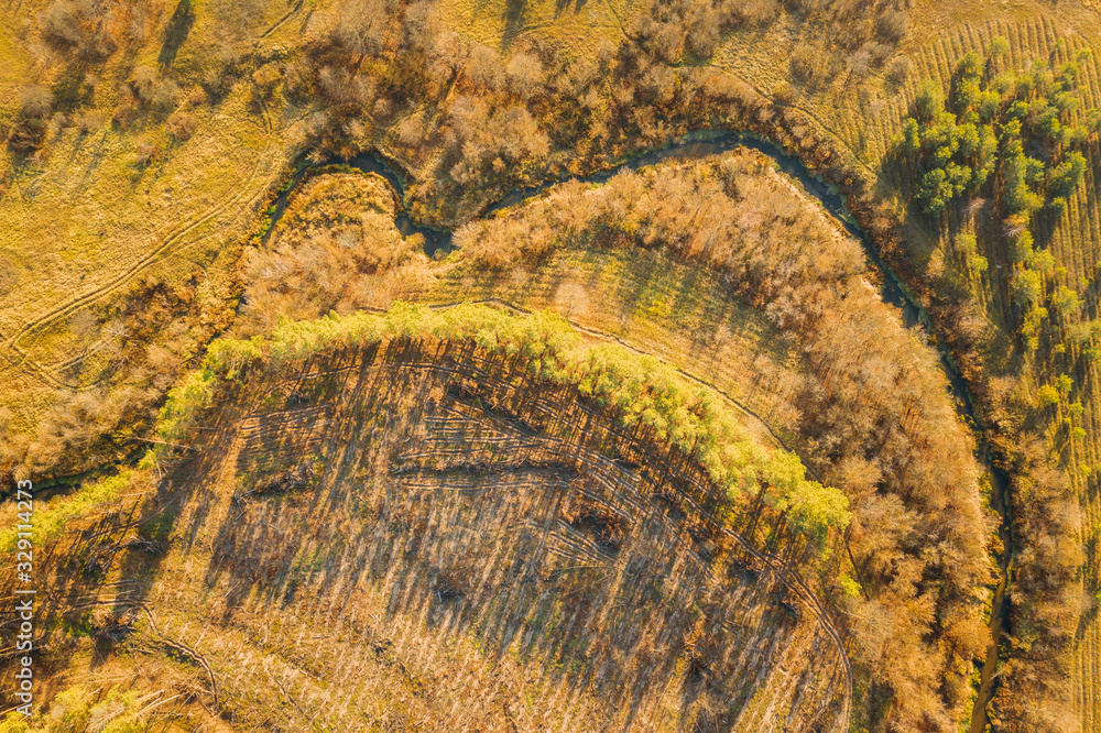 Aerial View Green Forest In Deforestation Area Landscape. Top View Of Shadows From Woods Trunks. Gro