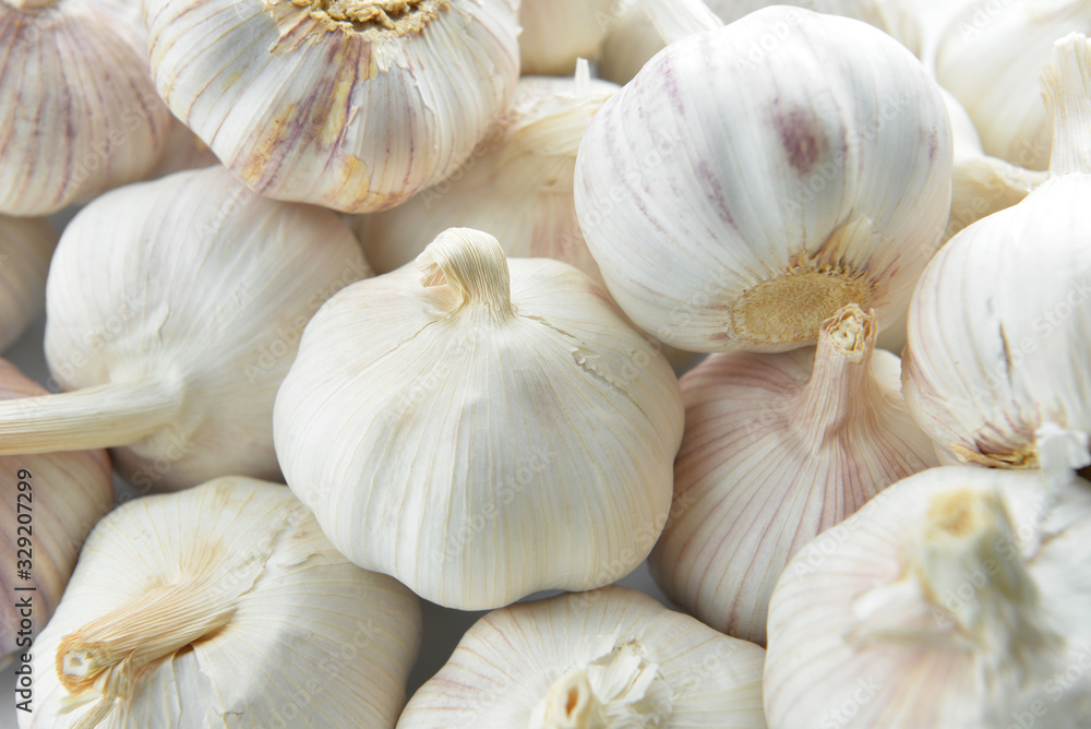 Heap of fresh garlic, closeup