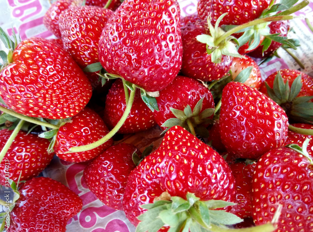 Strawberries collected fresh from the farm.