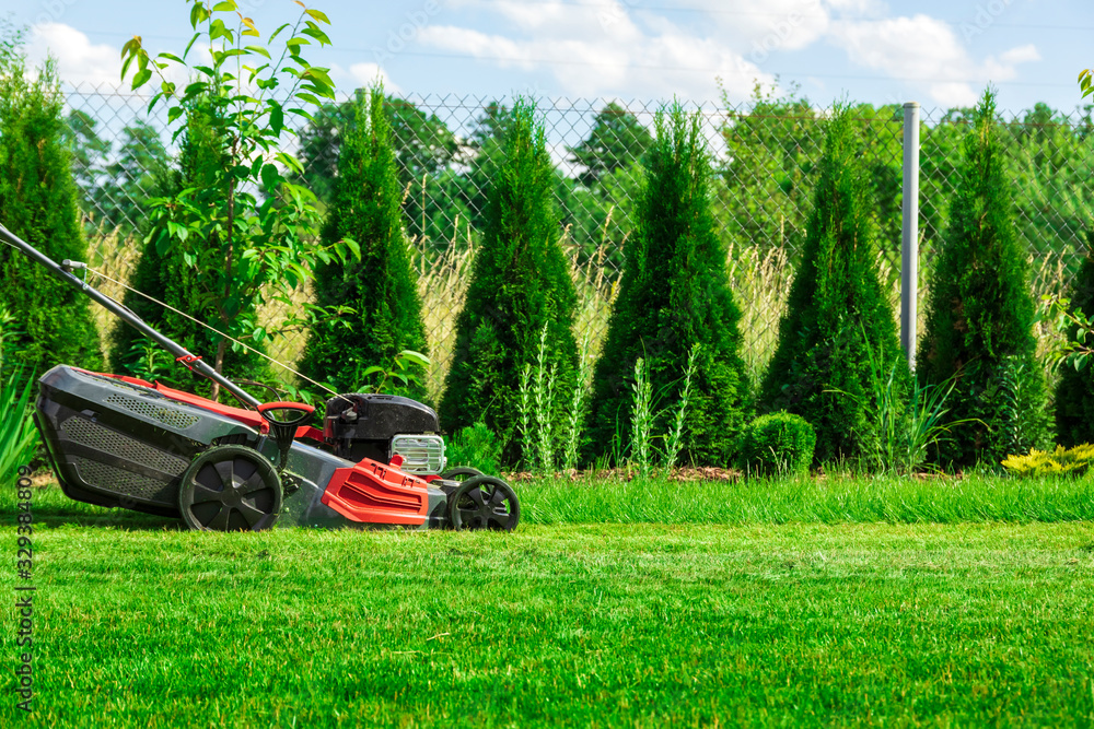 Lawn mower cutting green grass in backyard, mowing lawn