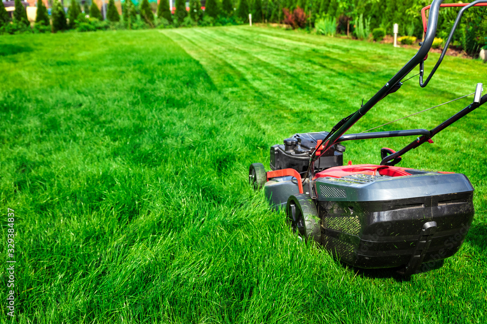 Lawn mower cutting green grass in backyard, mowing lawn