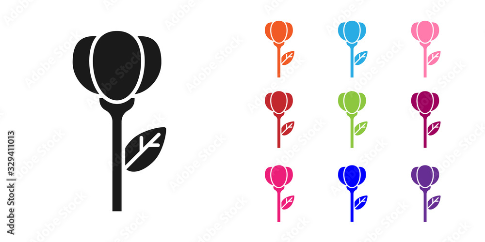 Black Flower tulip icon isolated on white background. Set icons colorful. Vector Illustration