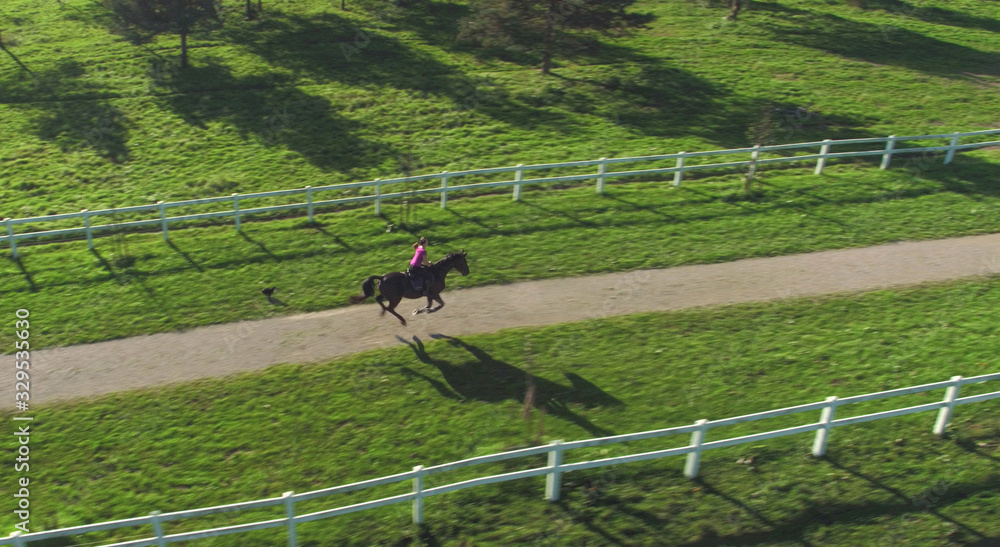 DRONE: Unrecognizable young woman gallops on a mighty brown stallions back.