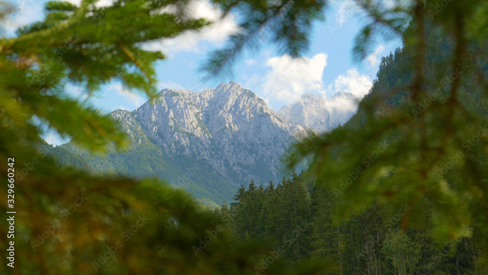 CLOSE UP: Pine branches obstruct the view of massive rocky mountain in Slovenia.