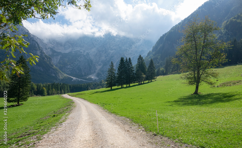 Empty gravel hiking trail leads across a meadow and towards a majestic mountain.