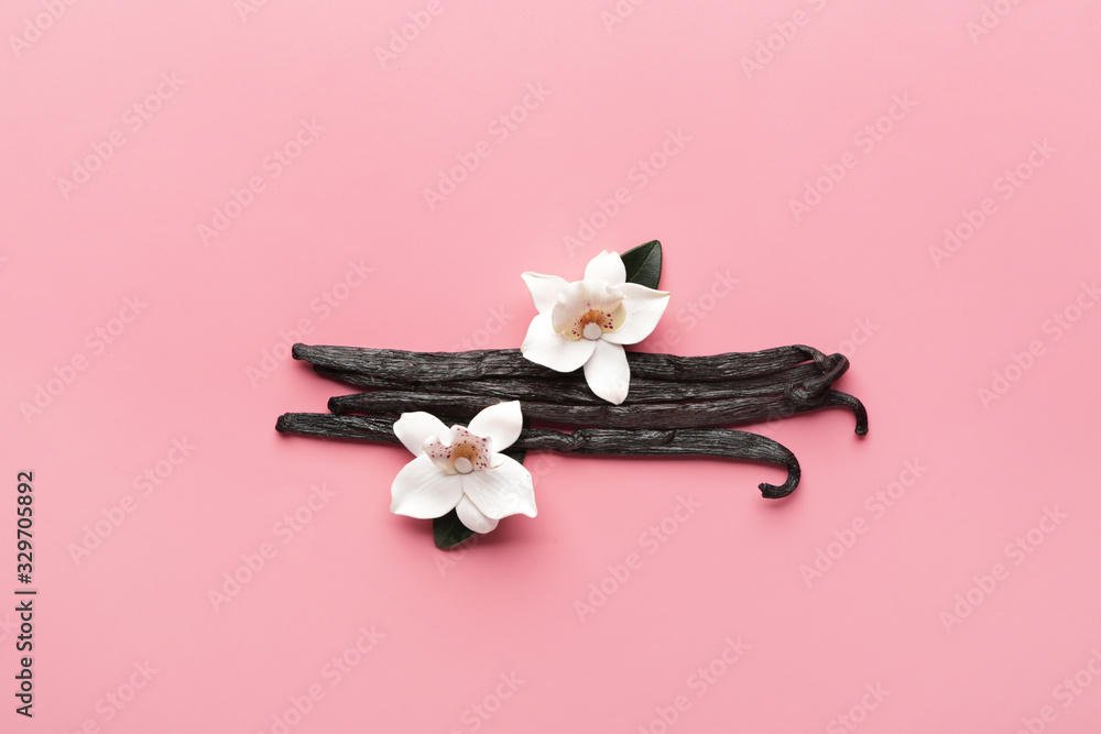 Aromatic vanilla sticks on color background