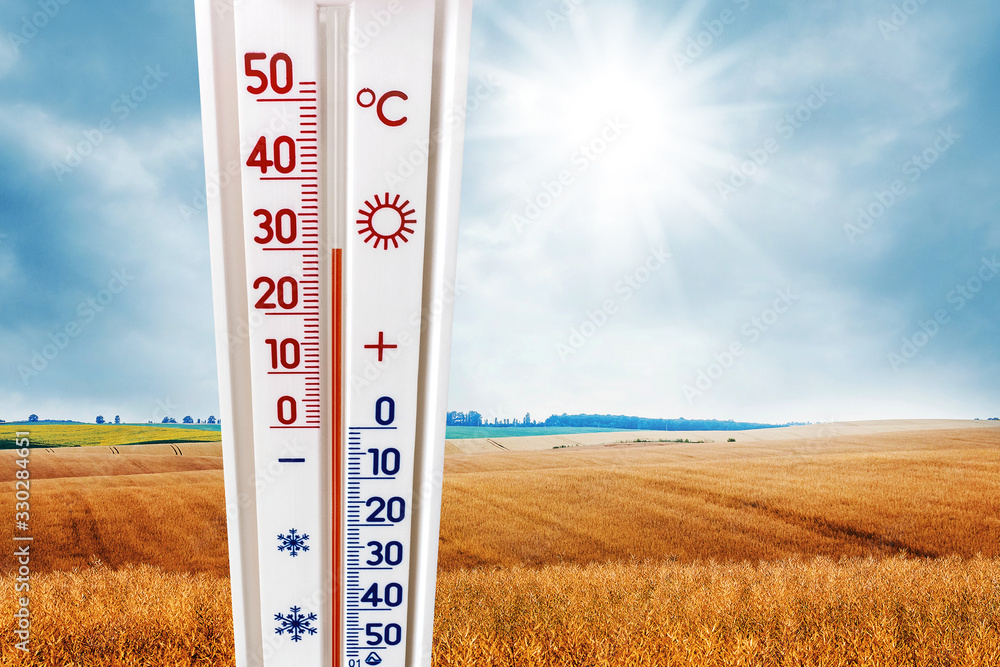 The thermometer on a wheat field background shows the temperature plus 30 degrees, summer heat_