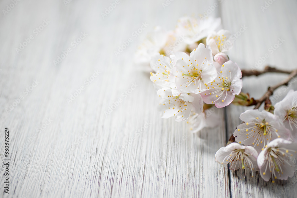 満開の桜