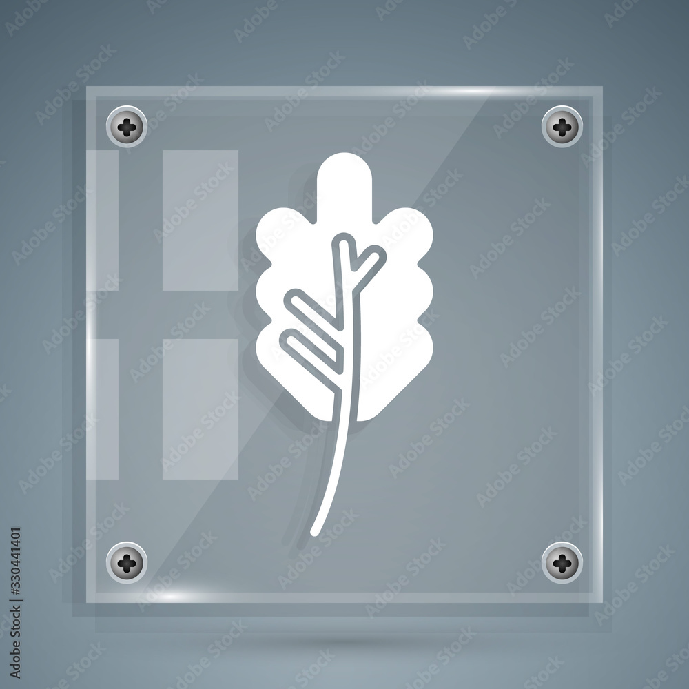 White Leaf icon isolated on grey background. Leaves sign. Fresh natural product symbol. Square glass