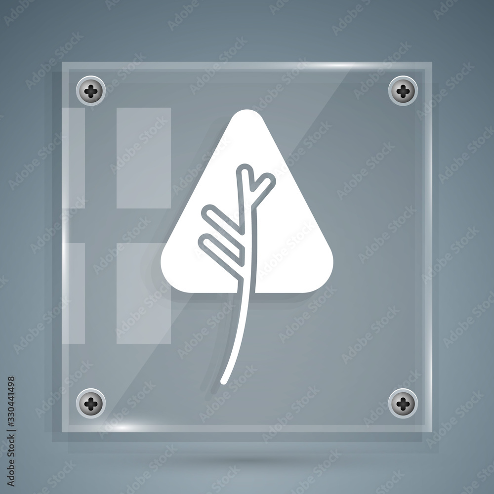 White Leaf icon isolated on grey background. Leaves sign. Fresh natural product symbol. Square glass