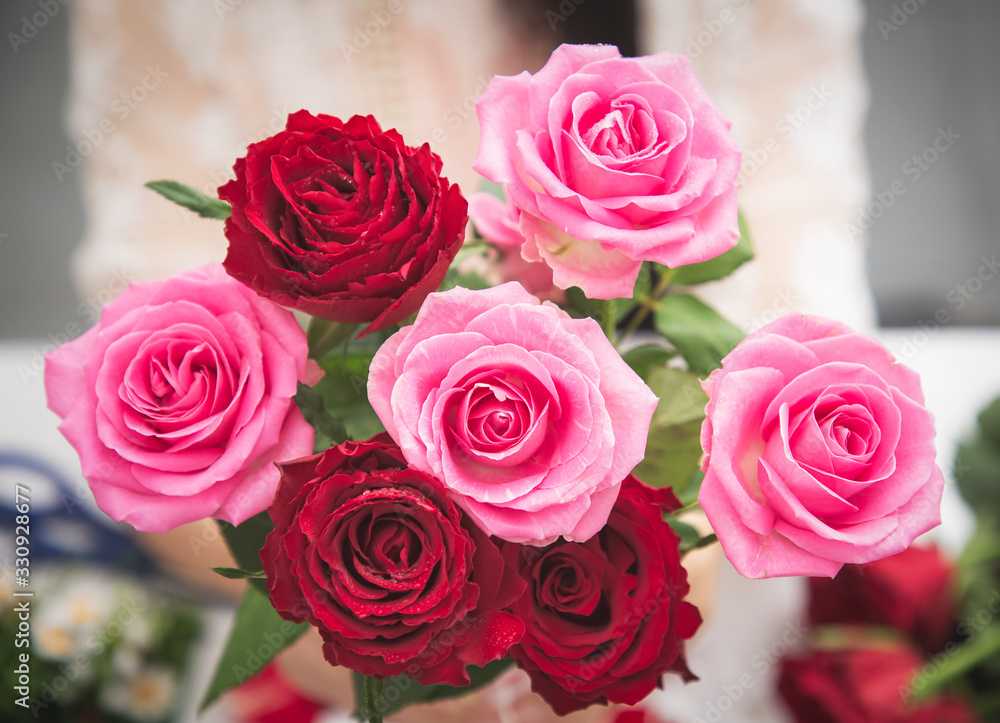 Woman Preparing to trim red and pink roses and beautiful flower arrangements in the home, flower arr