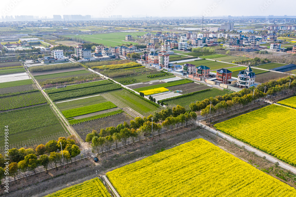 farmland with village