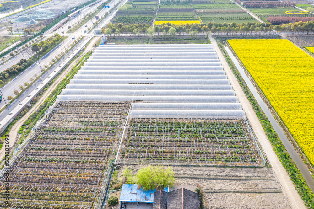 farmland with village