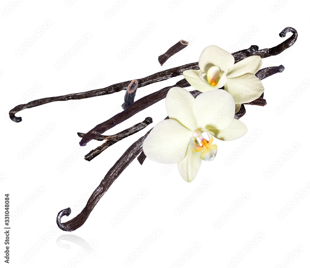 Dried vanilla sticks with flowers in the air, isolated on a white background