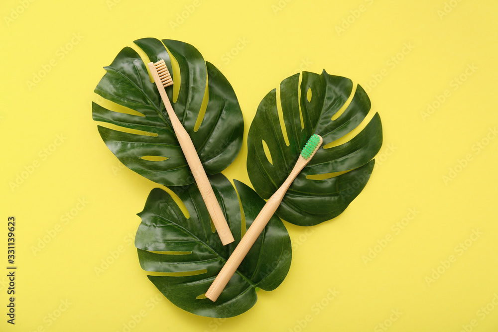 Tooth brushes and tropical leaves on color background