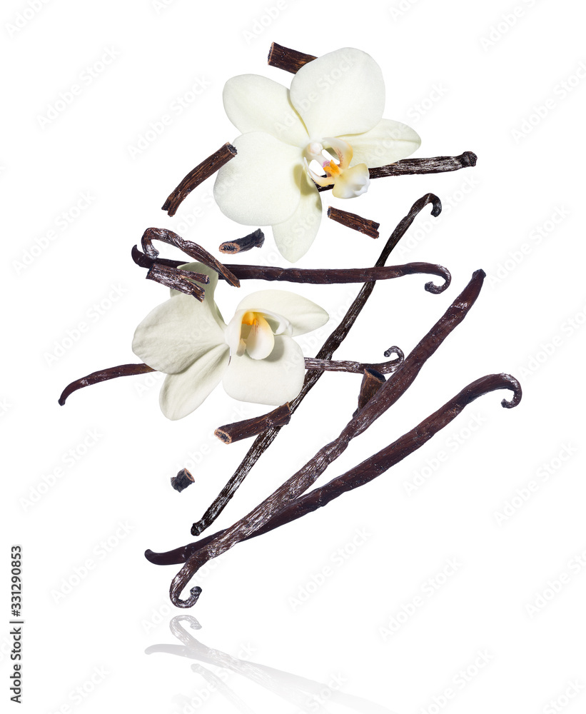 Dried vanilla sticks with flowers in the air on a white background