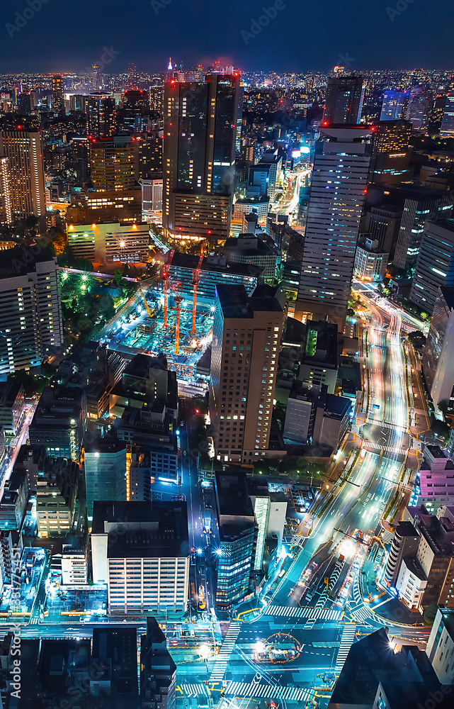 Aerial view of the Tokyo cityscape at night