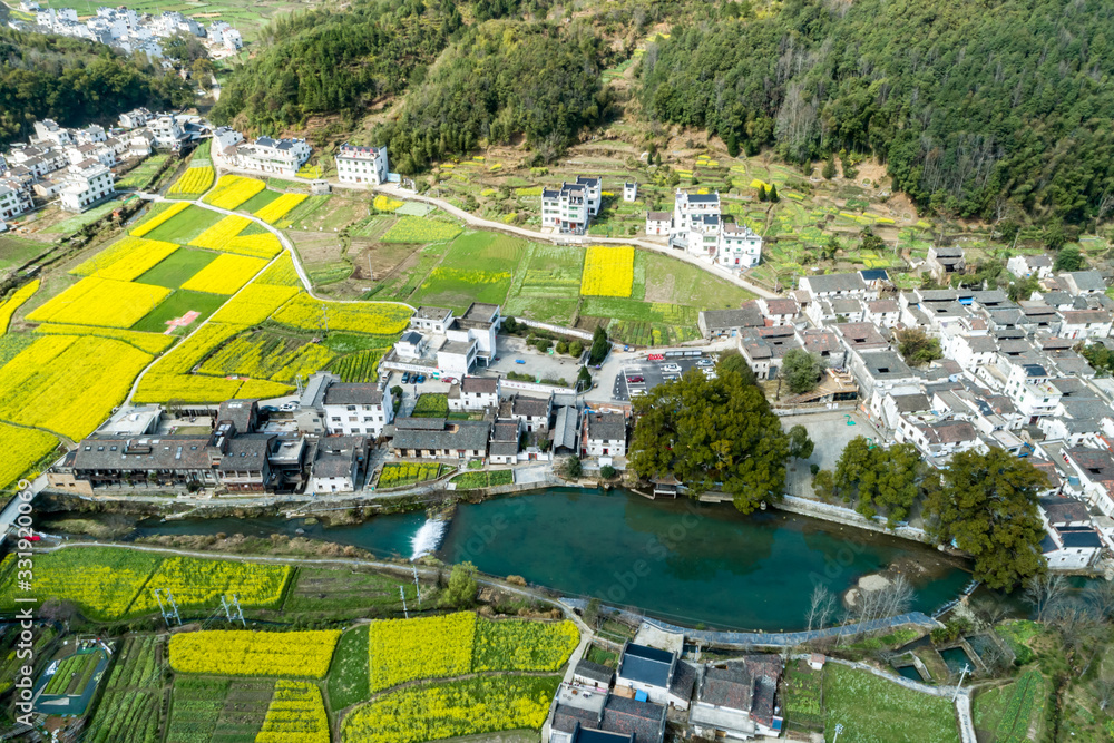 江西婺源洪官村古老的乡村油菜花在春天