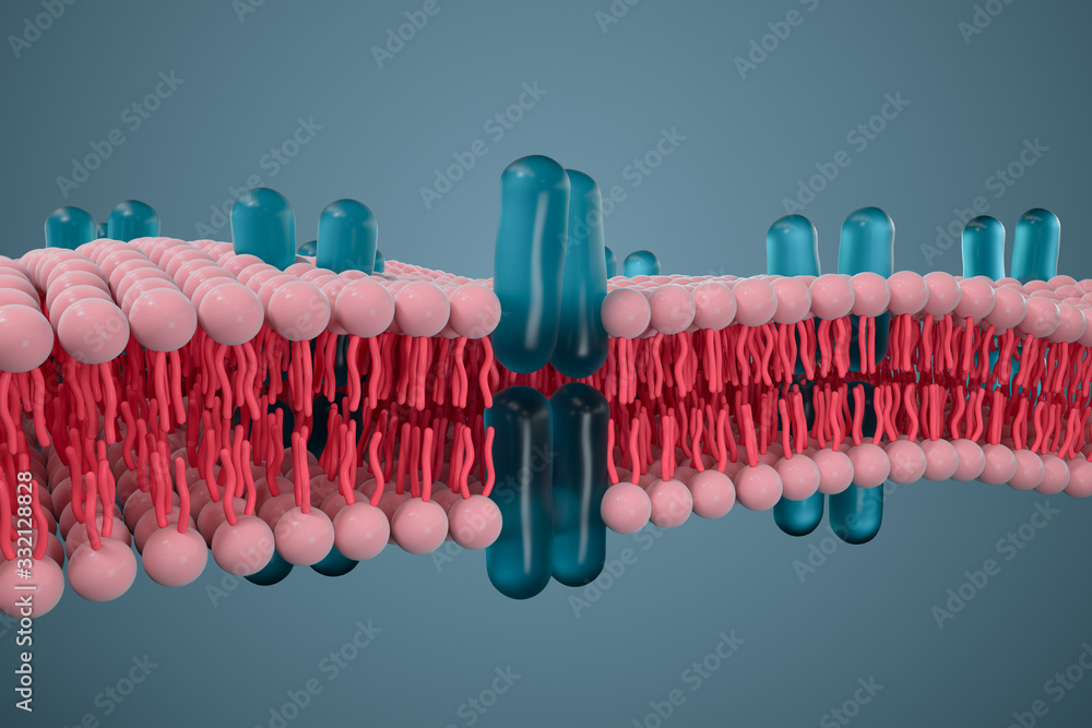 细胞膜与生物学，生物学概念，三维渲染。