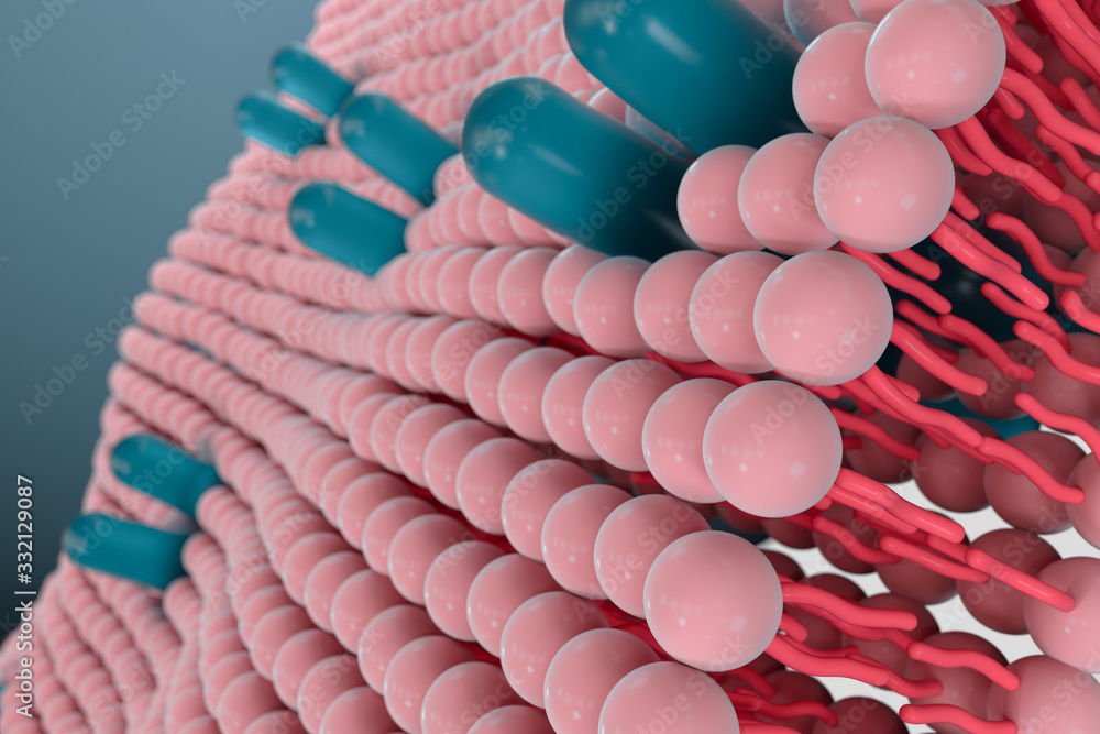 Cell membrane and biology, biological concept, 3d rendering.