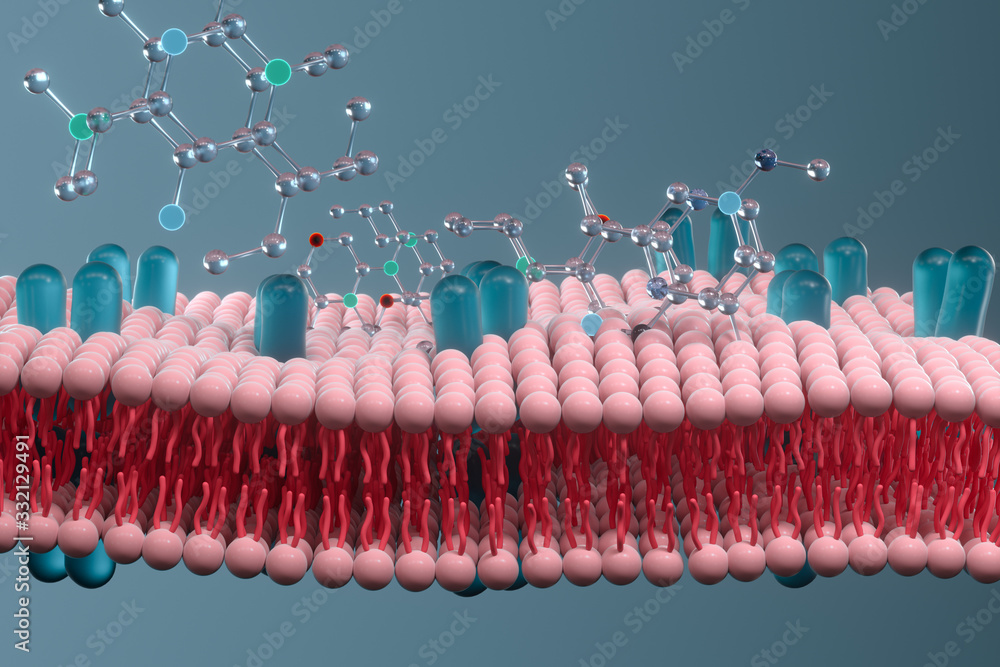 细胞膜与生物学，生物学概念，三维绘制。