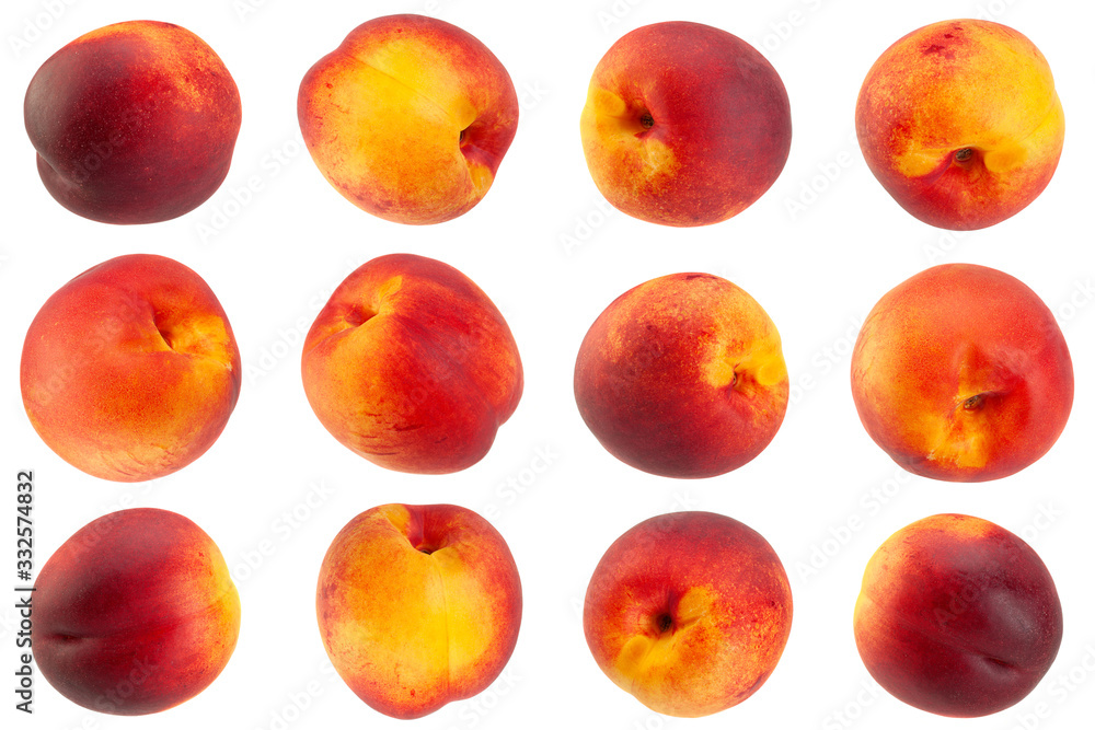 Nectarine fruit collection on white