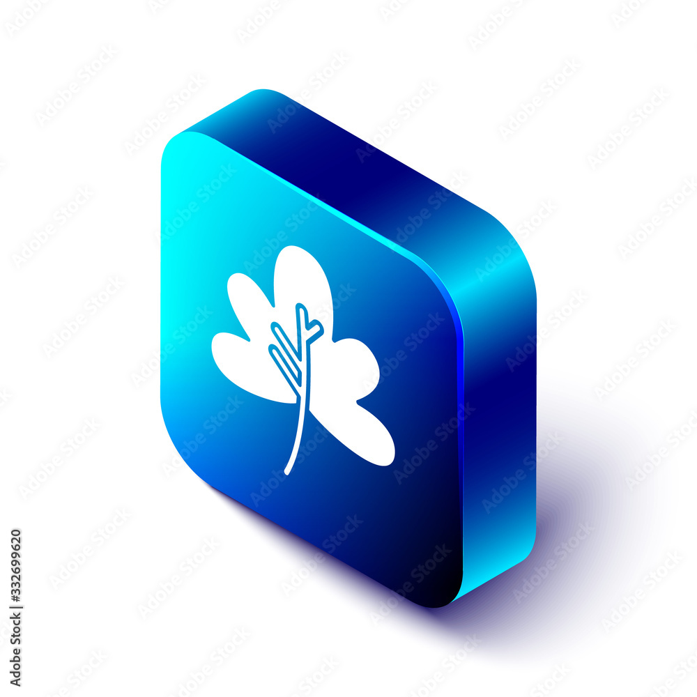 Isometric Leaf icon isolated on white background. Leaves sign. Fresh natural product symbol. Blue sq