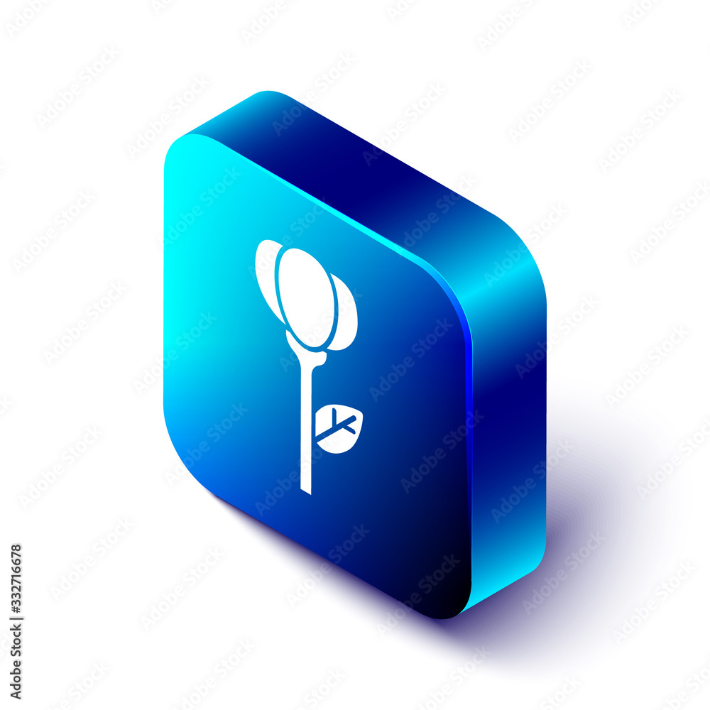 Isometric Flower tulip icon isolated on white background. Blue square button. Vector Illustration