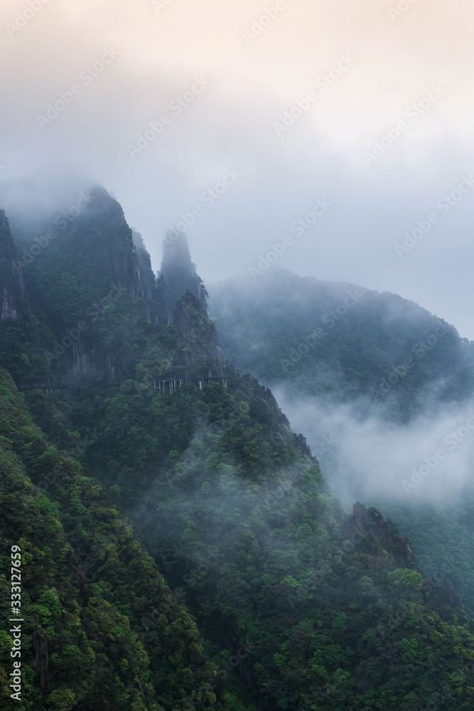 雾中山景