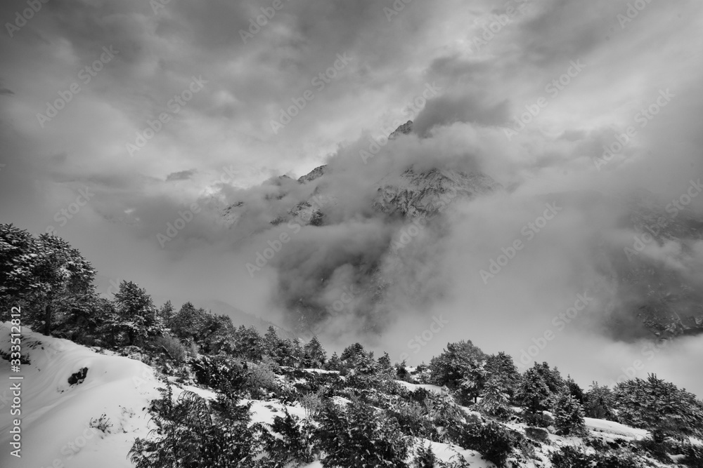 winter mountain landscape