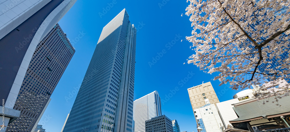 都会のビルと桜の木