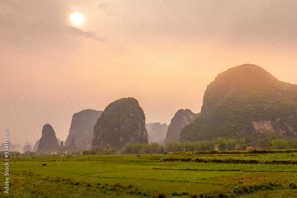 中国桂林阳朔典型水稻种植园