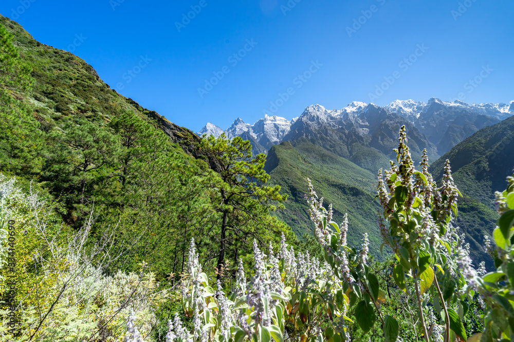 虎跳峡徒步小径上的玉龙雪山全景，