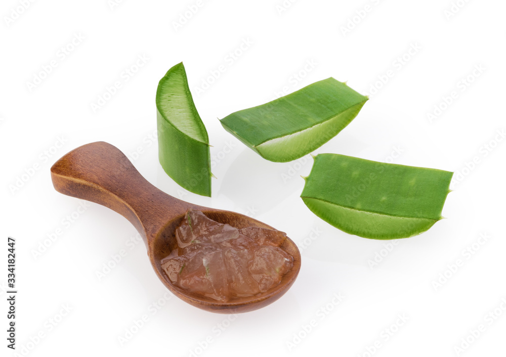 Aloe vera sliced plant isolated white background