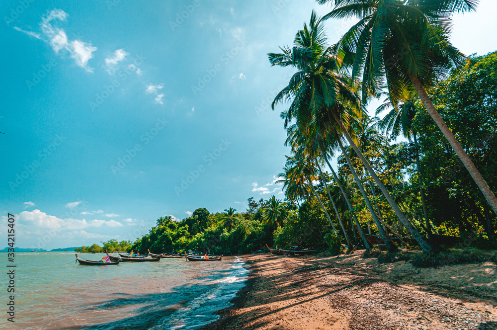 Tropical sand beach with palm trees in Krabi, Thailand