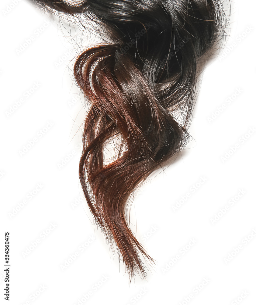 Curly dark female hair on white background