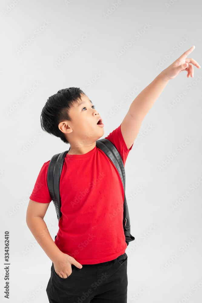 Beautiful student kid boy wearing backpack holding book over isolated white background very happy po