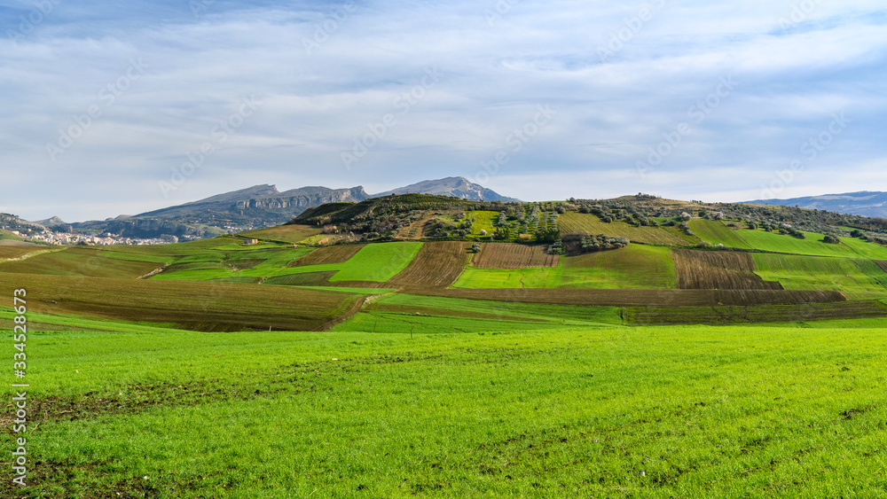 spring landscapes in Sicily, Italy