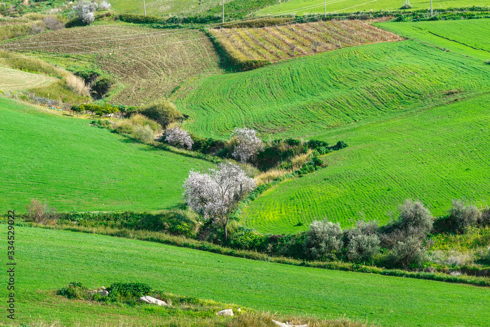 spring landscapes in Sicily, Italy