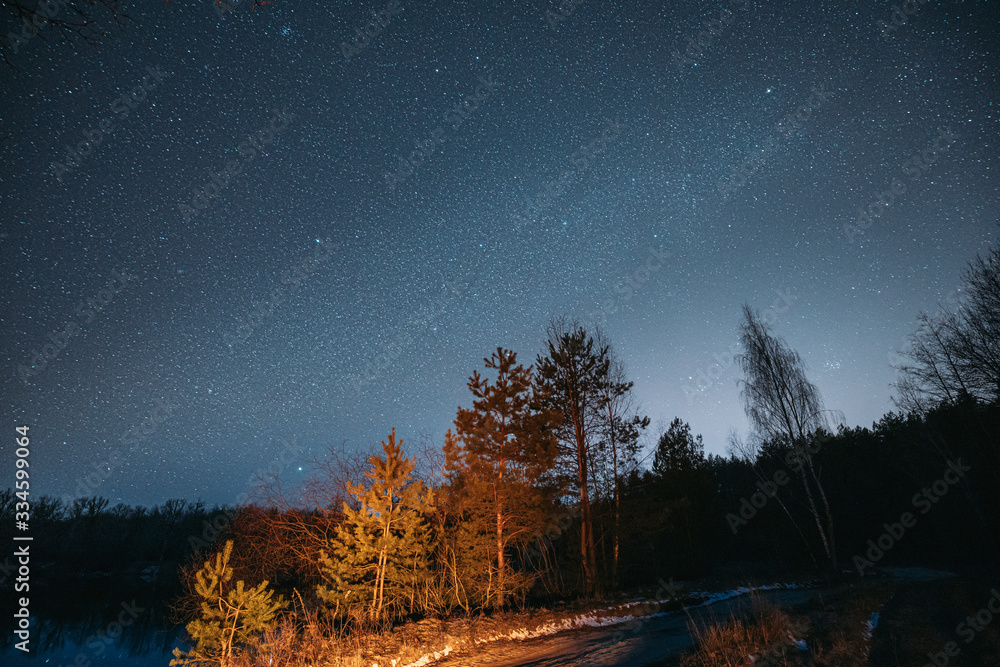 夜空中的星星在河流海岸生长的松林景观之上。C上方的自然星空