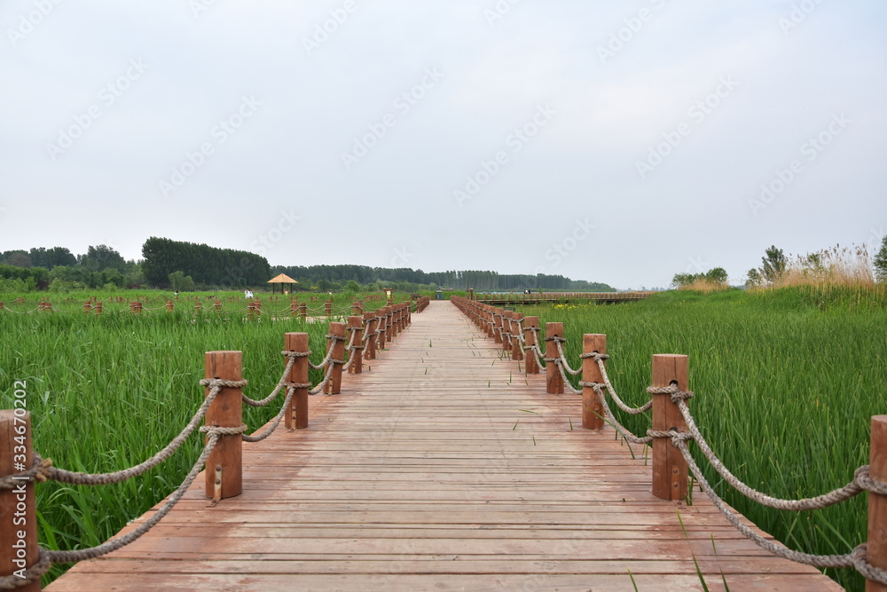 Wooden bridge in rural rice paddies, beautiful rural scenery