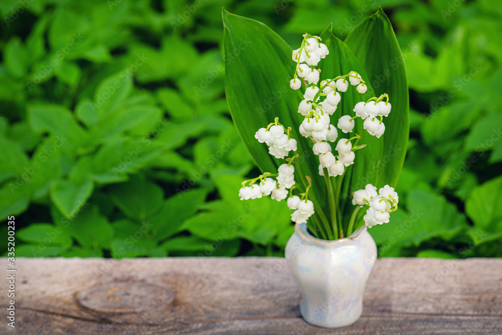 Spring flower lily of the valley. Lily of the valley. Flower Spring Sun White Green Background Horiz