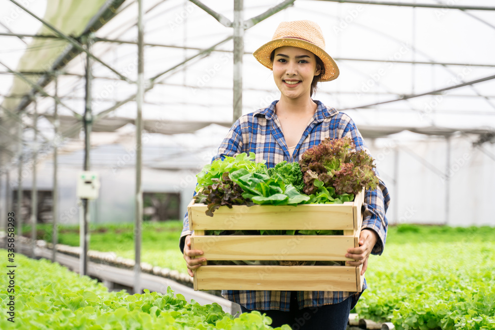 Young farmer man holding basket of vegetables in hydroponic farm with smile. Organic vegetable ready