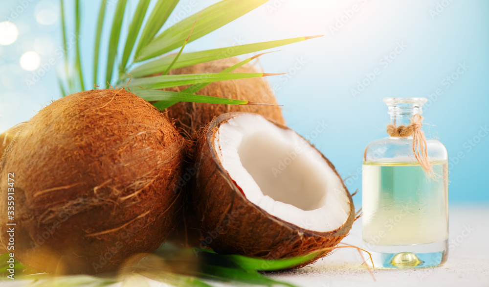 Coconut palm oil in a bottle with coconuts and green palm tree leaf on a blue and  white background.