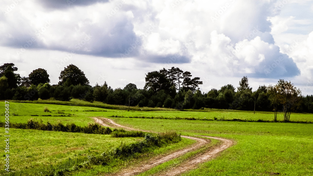 Road over green field in the Kashubian countryside. Poland.