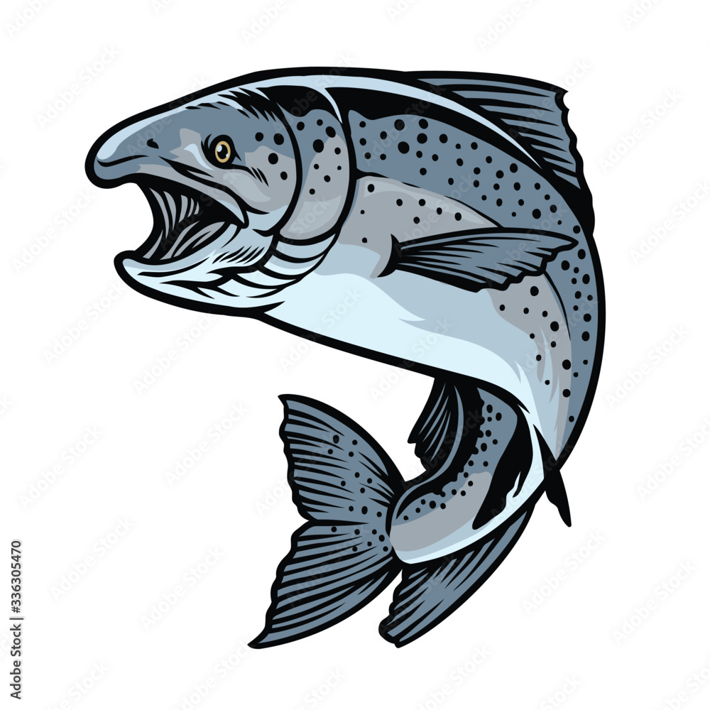 chinook salmon fish in hand drawn style